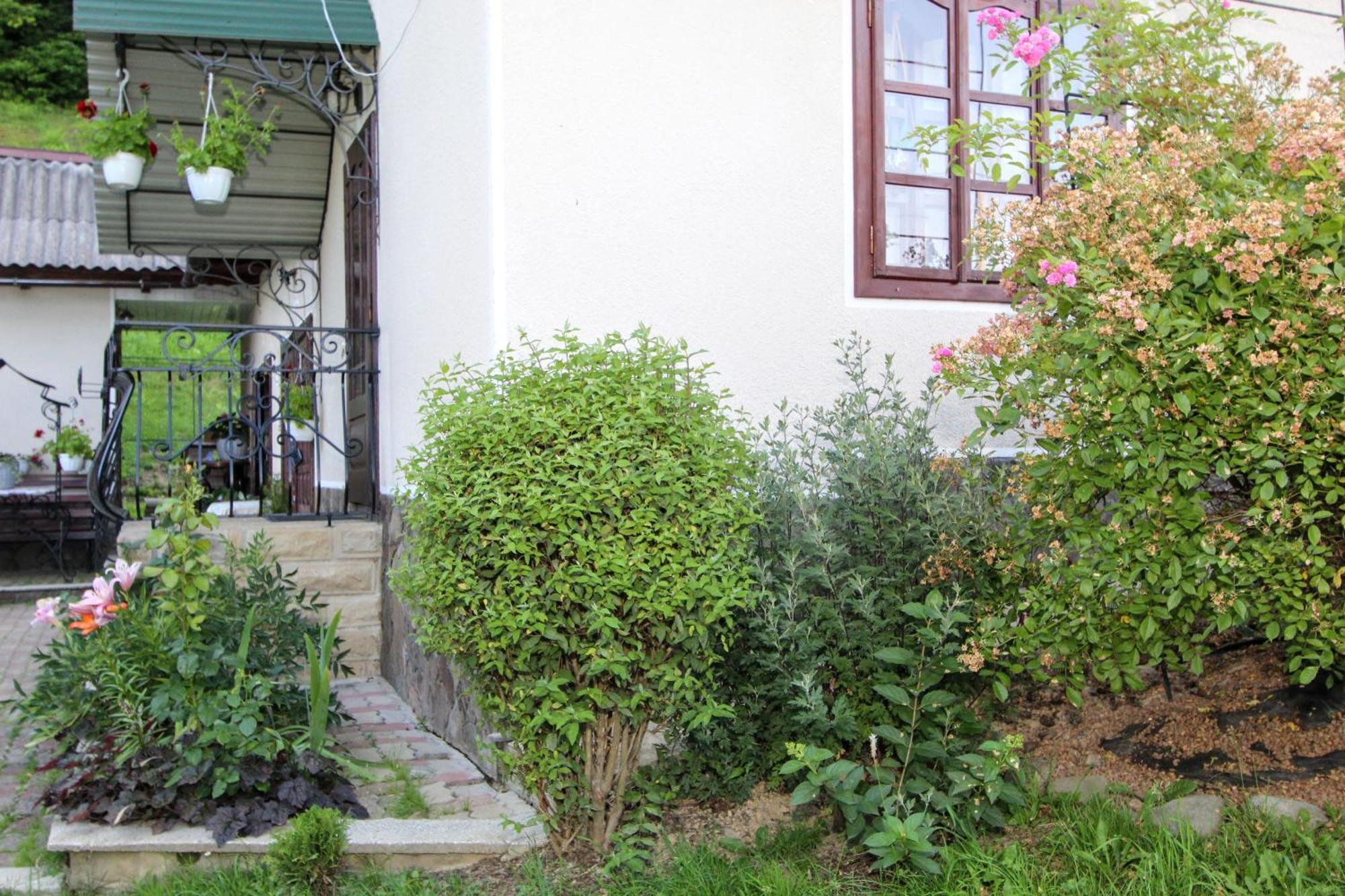 Котедж "Красний Краєвид" Yaremche Ngoại thất bức ảnh