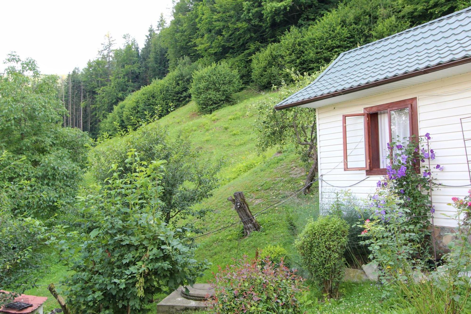 Котедж "Красний Краєвид" Yaremche Ngoại thất bức ảnh